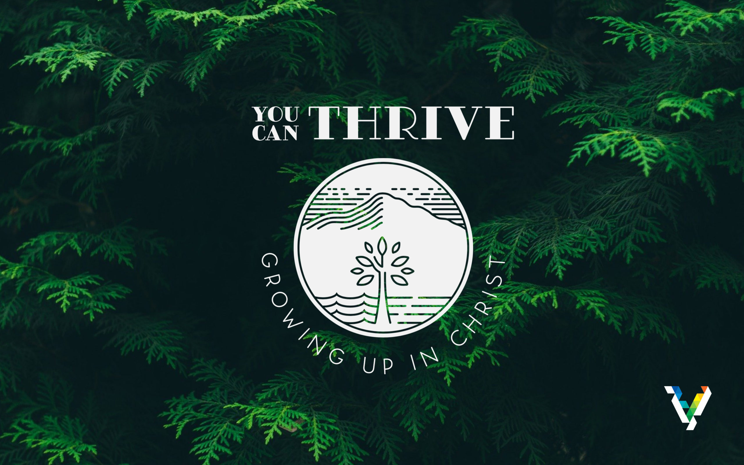 You Can Thrive: Growing Up in Christ (Studies 6-10)