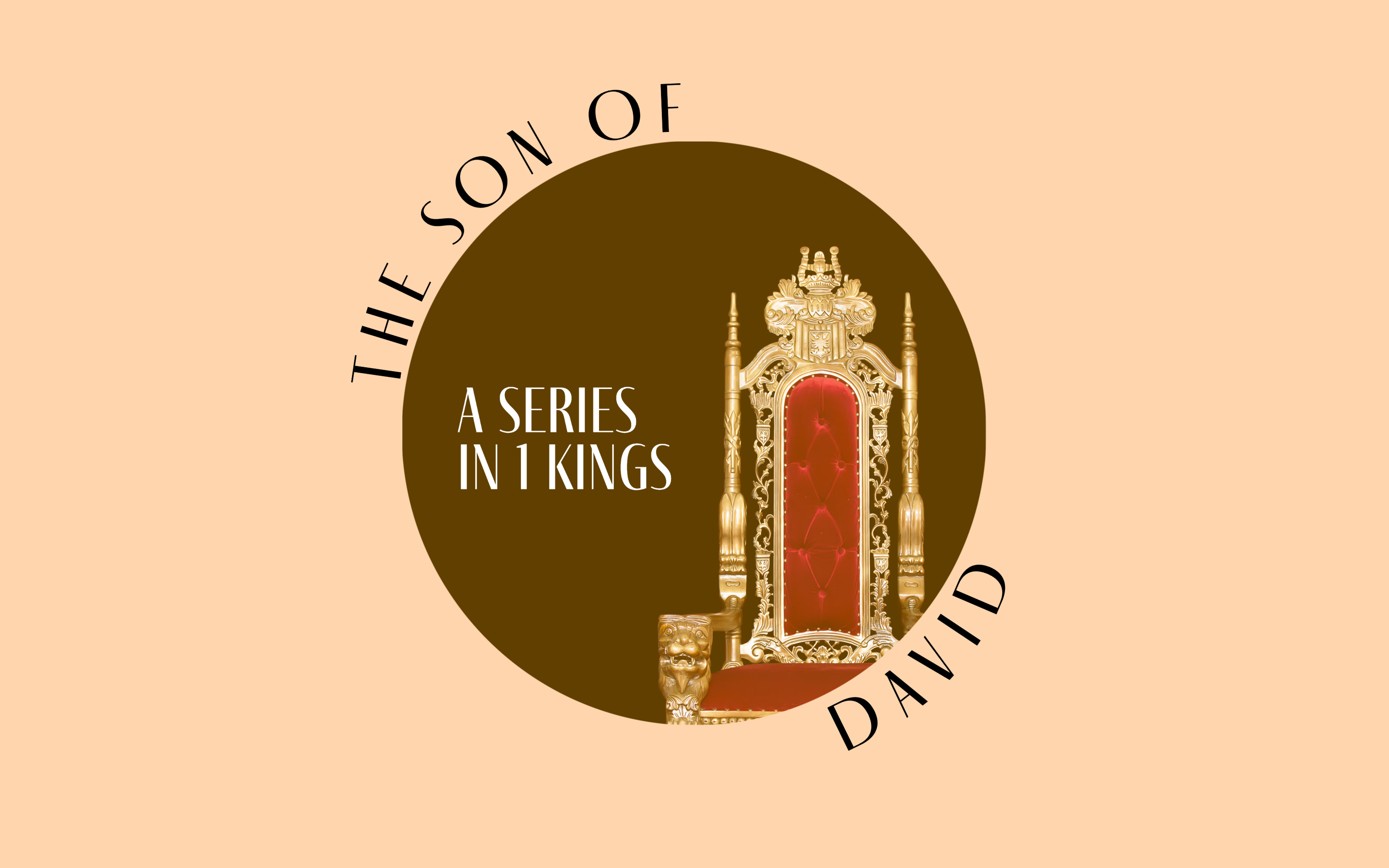 The Son of David Studies (1 Kings 1-11 Community Group Studies)